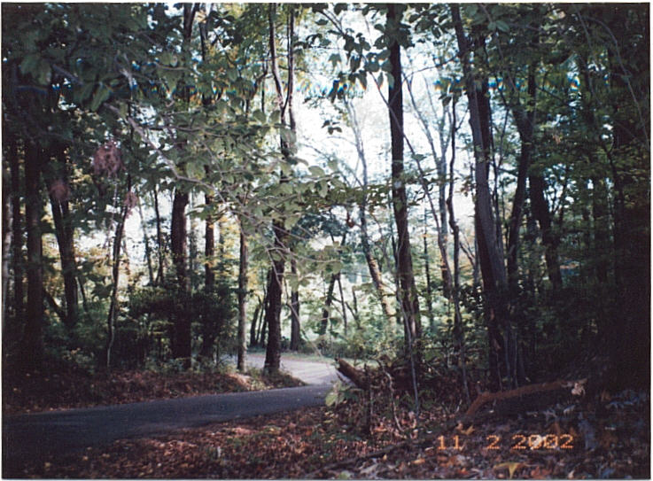 The Scenic Byway - the last curve until you reach The Bottom