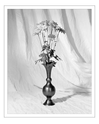 Chrysanthemums in Pewter Vase