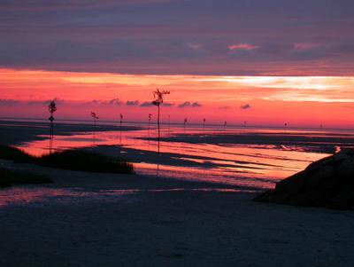 Rock Harbor 7