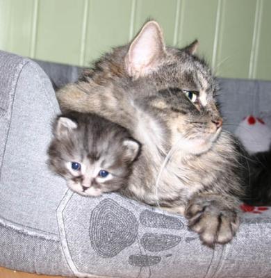Feyodor & Mom