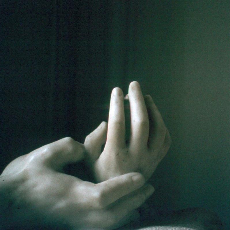 Rodin(1980)
