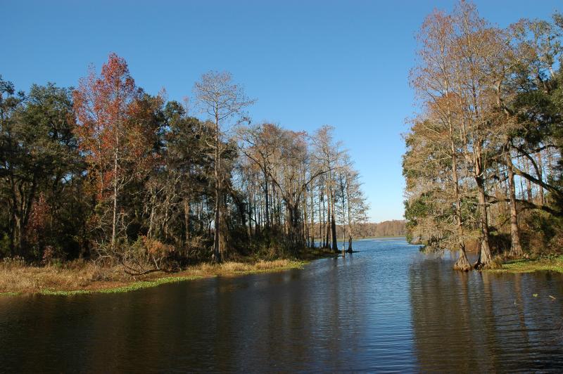 Munson Slough
