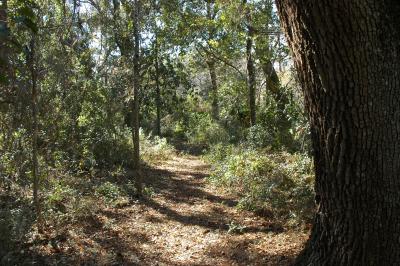 Hiking Trail