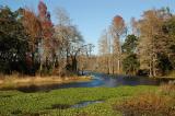 Munson Slough from dam