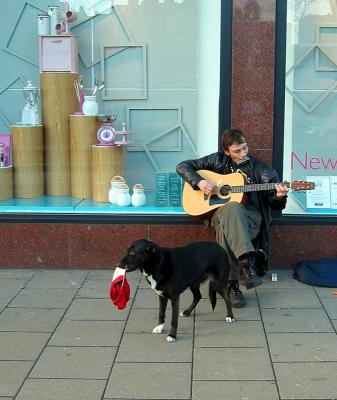 Busker and dog