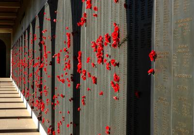 Anzac Day poppies