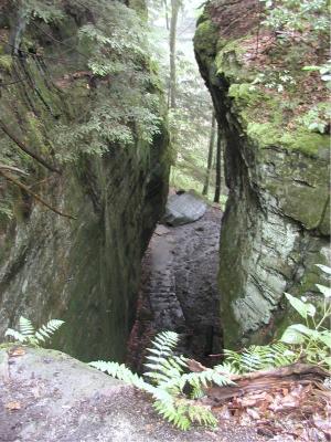view of the gorge 2.jpg
