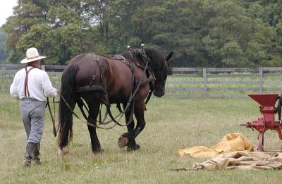 heading to the field.jpg