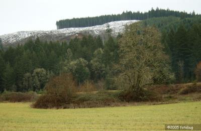 Clearcut
