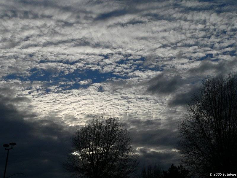 An Oregon Sky