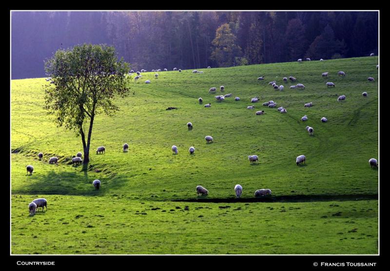 Countryside