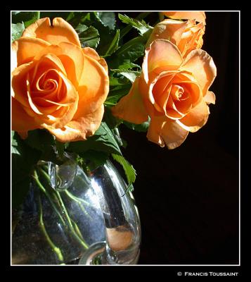 Two roses ...