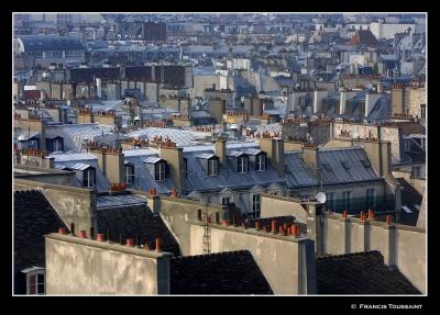 Paris roofs