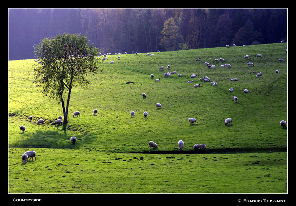 Countryside