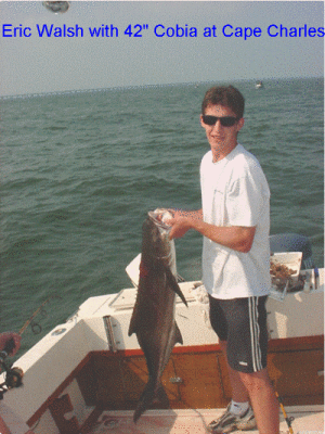 Eric Walsh with nice 42 Cobia caught at Cape Charles
