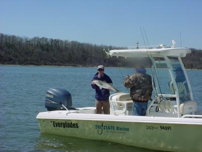 Early catch and release for Rock at the Power Plant