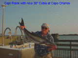 capecharles-frank1.gif