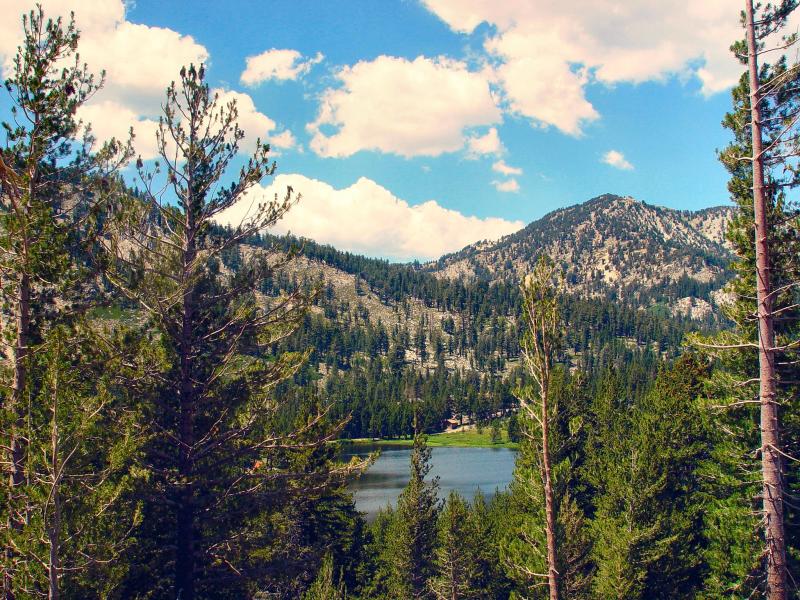 Mt Rose Hwy Lake View