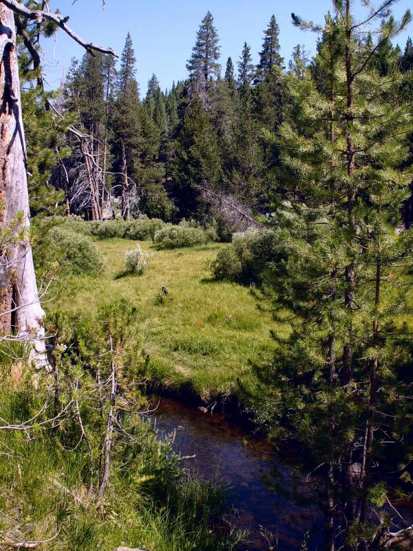 Trail View