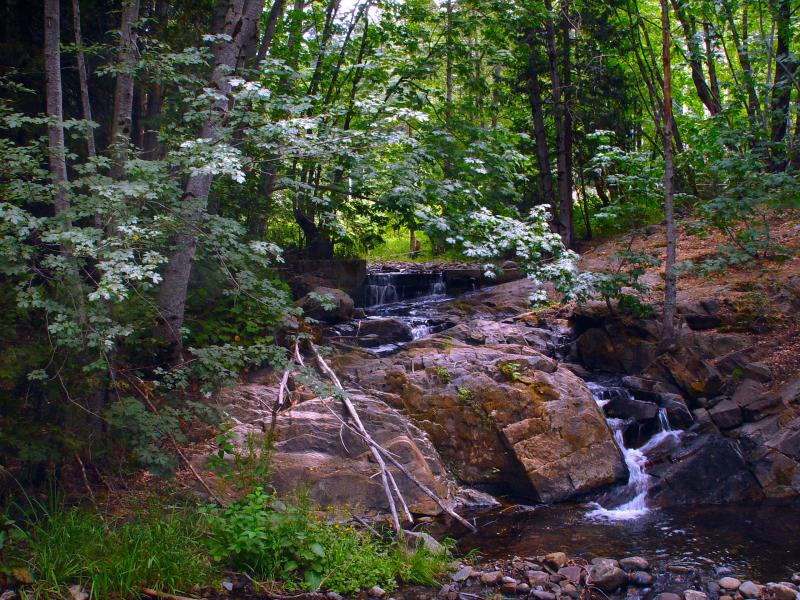 Truckee Trickle