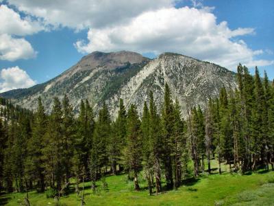  Mt Rose Hwy Reno