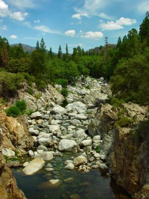  Spalding Creekbed