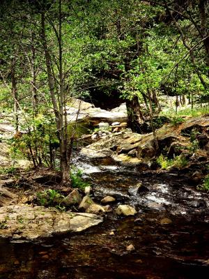 Crooked Creek