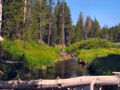  Creek Crossing