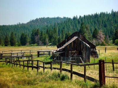  Truckee Meadow Relic