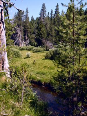 Trail View