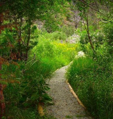 Fuller Lake Trail