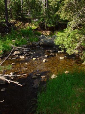 Mountain Creek
