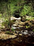 Crooked Creek