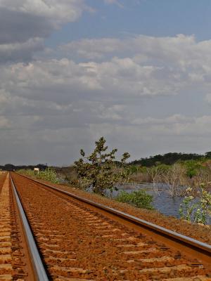 The iron way / El camino del hierro