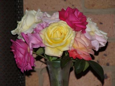 u13/fz10group/medium/38512885.Summerroses1.jpg