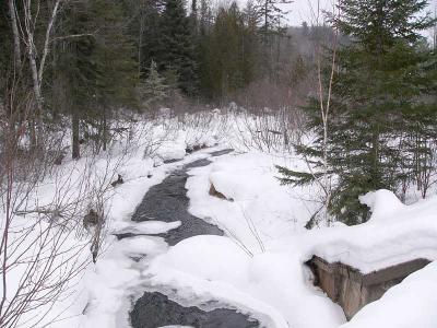 u13/fz10group/medium/38564186.WinterStreampotw.jpg
