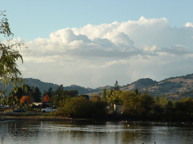 Milhollands - Novato, CA