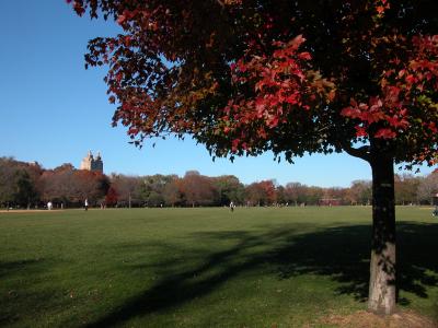 central park