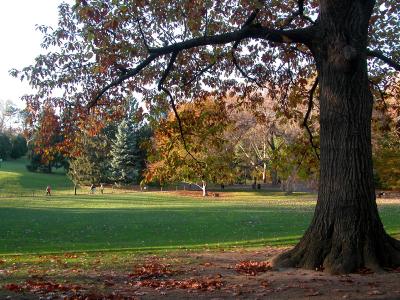 central park