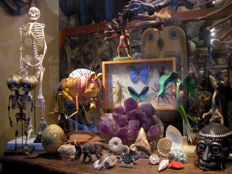 evolution, soho