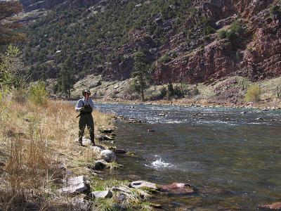 Darryl landing a fish...