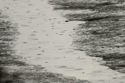 Rain at Low Tide