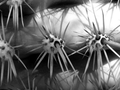 Needles
