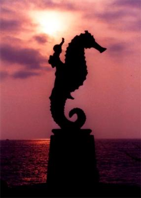 Seahorse.jpg