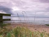 Hale Point