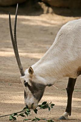 IMG_3782W.jpg