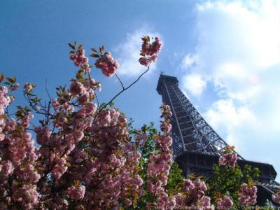 La Tour Eiffel au printemps - Apr 2004