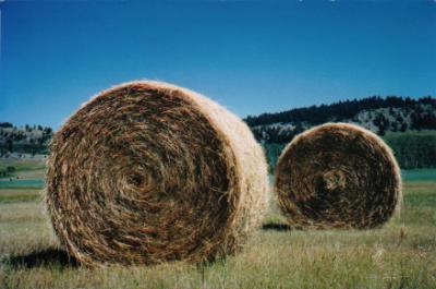 Two Bales