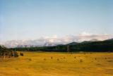 Bales in Field