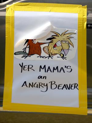 The Angry Beavers